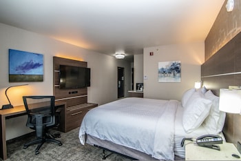 Standard Room, 1 King Bed, Accessible Bathtub (Mobility)