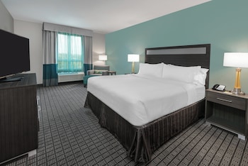 Suite, 1 King Bed with Sofa bed