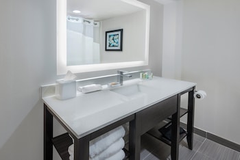 Suite, 1 King Bed with Sofa bed