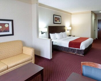 Standard Room, 1 King Bed, Non Smoking
