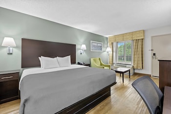 Standard Room, 1 King Bed with Sofa bed, Non Smoking (2 Person Sofa bed, Shower Only)