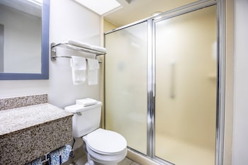 Standard Room, 1 King Bed with Sofa bed, Non Smoking (2 Person Sofa bed, Shower Only)