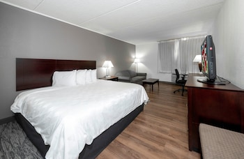 Superior Room, 1 King Bed with Sofa bed (Smoke Free)