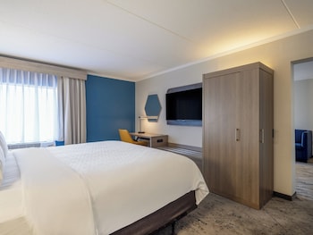 Suite, 1 King Bed with Sofa bed