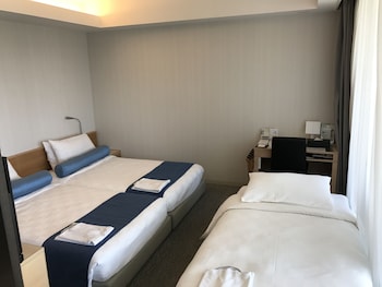 Deluxe Twin Non Smoking with Balcony
