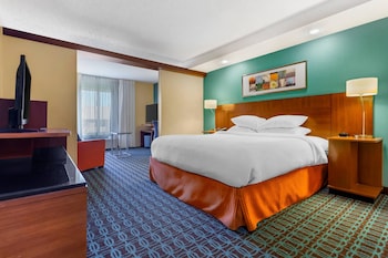 Suite, 1 King Bed with Sofa bed, Non Smoking (Efficiency)