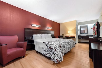 Superior Room, 1 King Bed, Non Smoking