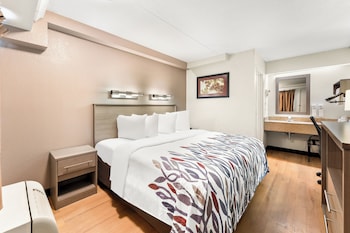 Standard Room, 1 King Bed (Smoke Free)