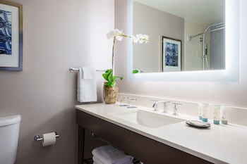 Traditional Room, 1 King Bed, Non Smoking (Mobility Accessible, Tub)
