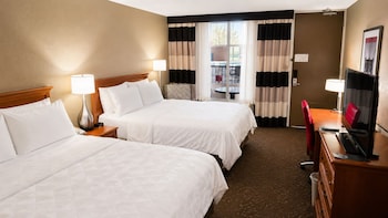 Room, 1 Queen Bed, Mobility Accessible, Non Smoking (Bathtub W/grab Bars)