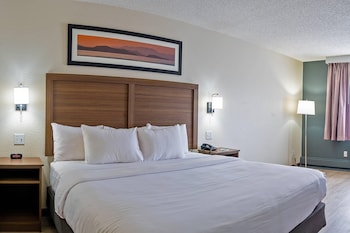 Room, 1 King Bed, Non Smoking, Refrigerator