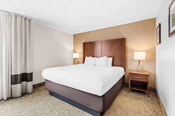 Suite, 1 King Bed with Sofa bed, Non Smoking