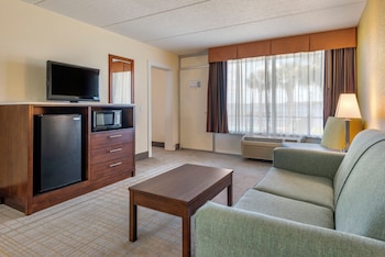 Suite, 1 King Bed, Non Smoking