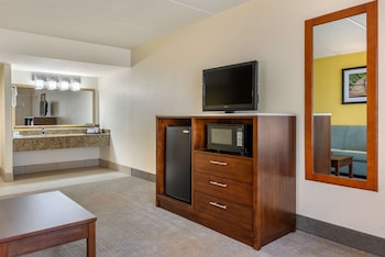 Suite, 1 King Bed, Non Smoking