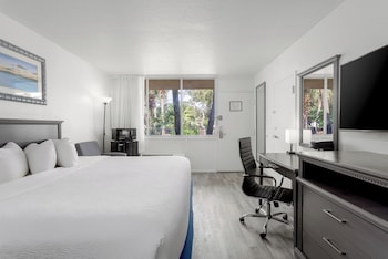 Standard Room, 1 King Bed, Accessible
