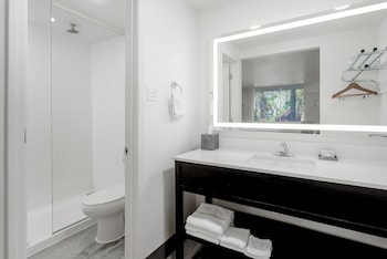 Room, 1 King Bed