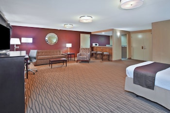 Standard Room, 1 King Bed with Sofa bed