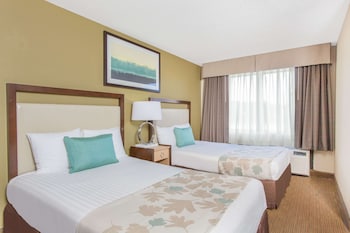Double Room, 2 Double Beds