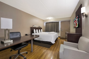 Premium Room, 1 King Bed (Upgraded Bedding & Snack, Smoke Free)