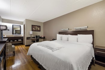 Premium Room, 1 King Bed (Upgraded Bedding & Snack, Smoke Free)