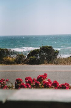 Superior Room, 2 Queen Beds, Patio, Ocean View