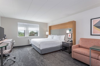 Standard Room, 1 King Bed with Sofa bed