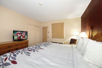 Suite, 1 King Bed with Sofa bed, Non Smoking