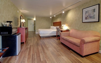 Presidential Room with 1 King Bed Pet-Friendly