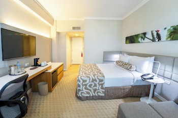 Standard Room, 1 Queen Bed, Mountain View