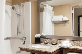 Room, 1 King Bed, Accessible (Mobility Roll-In Shower)
