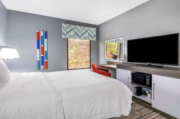 Suite, 1 King Bed with Sofa bed, Kitchenette