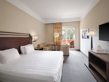 Standard Room, 1 King Bed with Sofa bed