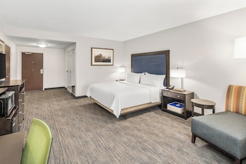 Standard Room, 1 King Bed, Accessible (Comm, Mobil, Roll In Shwr)