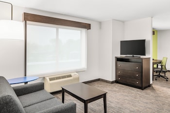 Suite, 1 King Bed with Sofa bed