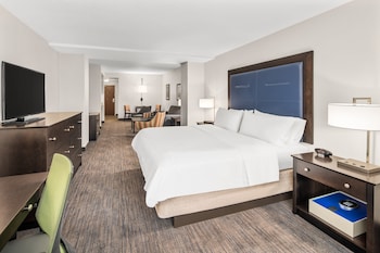 Suite, 1 King Bed with Sofa bed