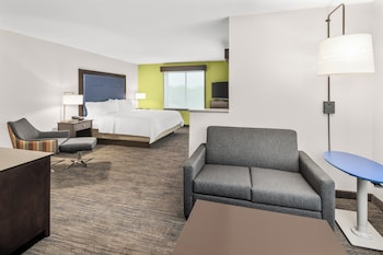 Suite, 1 King Bed with Sofa bed