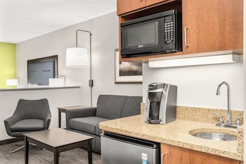 Suite, 1 King Bed with Sofa bed