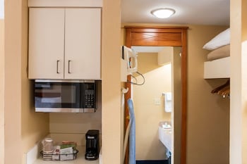 Standard Room, 1 King Bed with Sofa bed