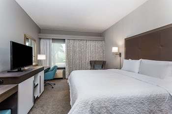 Standard Room, 1 King Bed