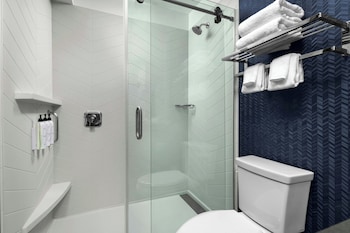 Room, 1 King Bed, Roll-in Shower (Roll-in Shower)