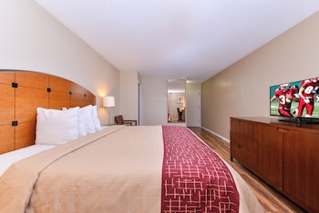 Business Room, 1 King Bed, Smoking