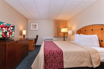 Superior Room, 1 King Bed, Non Smoking