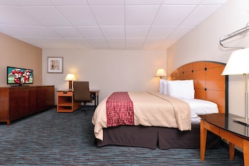 Business Room, 1 King Bed, Smoking