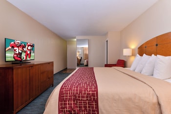 Business Room, 1 King Bed, Smoking