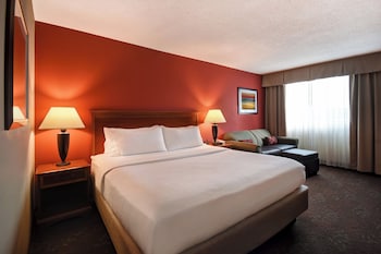 Standard Room, 1 King Bed with Sofa bed