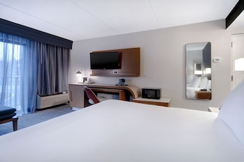 Room, 1 King Bed with Sofa bed