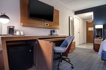 Room, 1 King Bed with Sofa bed