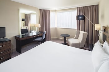 Standard Room, 1 Queen Bed, Accessible, River View