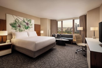Room, 1 King Bed, Roll-in Shower, Park View