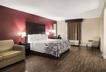 Superior Room, 1 King Bed with Sofa bed, Non Smoking